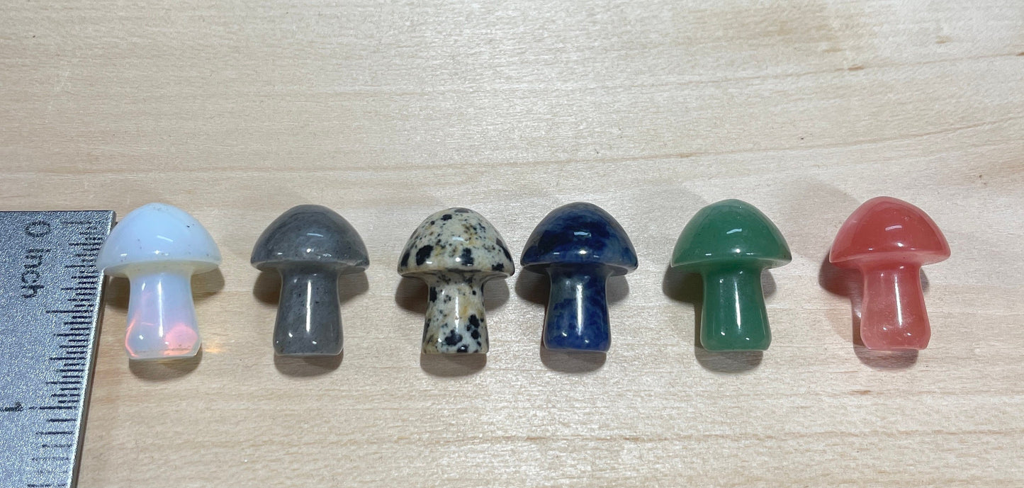 Mini stone mushrooms - mushies